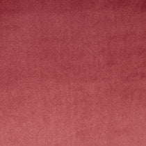 Velour Velvet Rosebud Fabric by the Metre